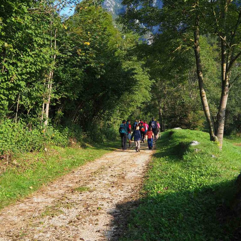 Escursione nel territorio di Laghi (VI)