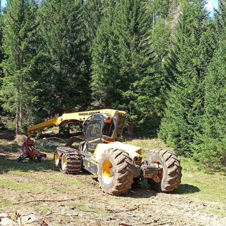 Lavori forestali progettati da Landes Group